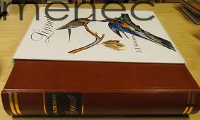 Audubon, J. J. & Peterson , Roger Tory & Peterson , Virginia Marie : Linnut