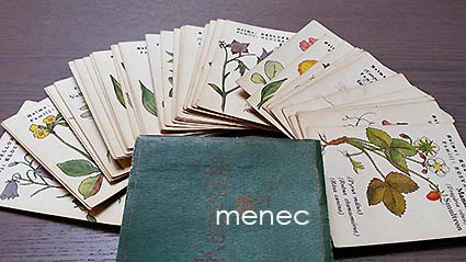Kasvisto = Herbarium. 48 kuva- ja 12 tekstikorttia 