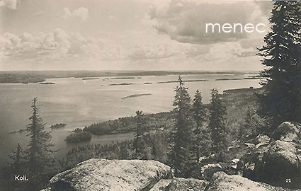 Koli 