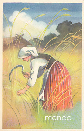 Wendelin, Martta - Nainen viljapellolla 