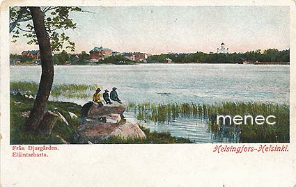 Helsinki, Eläintarhasta, Suurkirkko, kolme poikaa kivellä 