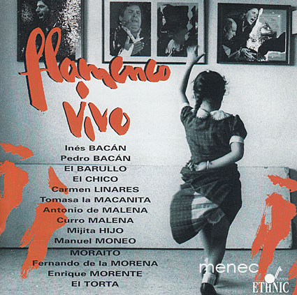 Flamenco Vivo 
