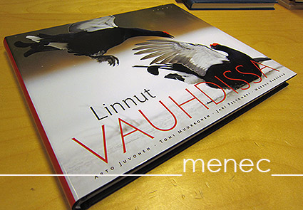 Linnut vauhdissa 