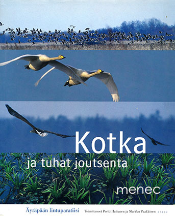 Kotka ja tuhat joutsenta 