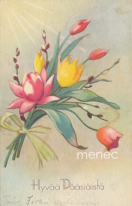 Wendelin, Martta - Tulppaanikimppu 