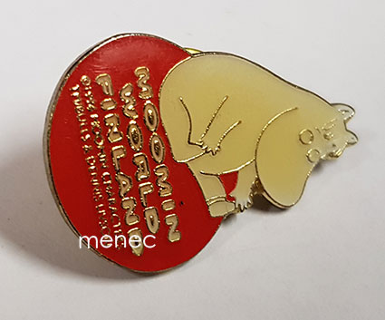 Pinssi, Moomin World 