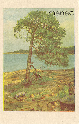 Toppelius, Woldemar - Rantamänty 