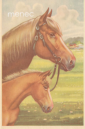 Urich, Eduard - Hevonen ja vasa 