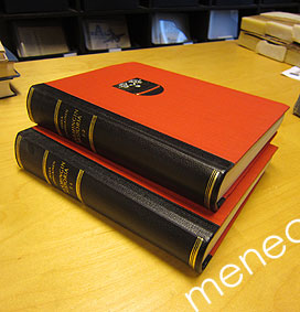Säämingin historia. I:1–1:2 (2 vol.) 