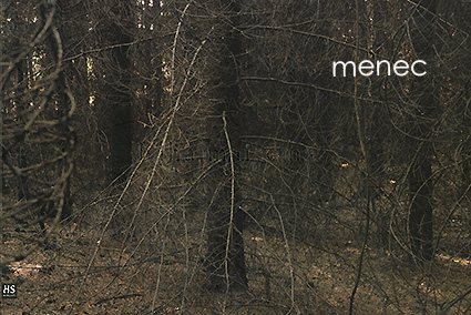 Kemppainen, Jouni K. & Elomaa, Pekka - Paha maisema 