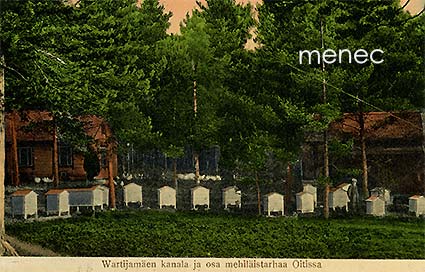 Wartijamäen kanala- ja osa mehiläistarhaa Oitissa 