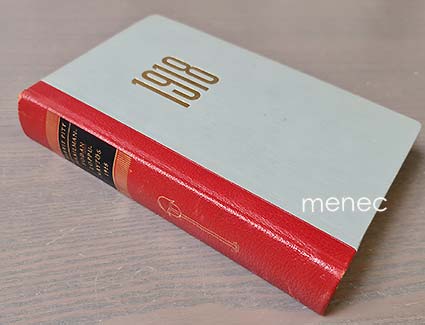 Pitt, Barrie - Maailmansodan loppunäytös 1918 