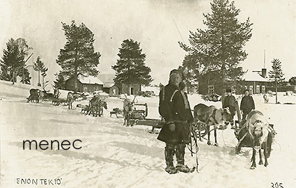 Enontekiö, puunkuljetusta poroilla 