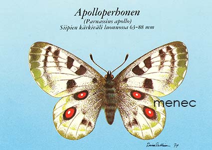 Apolloperhonen 