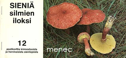 Sieniä silmien iloksi 