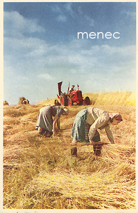 Maataloutta 1959, traktori 