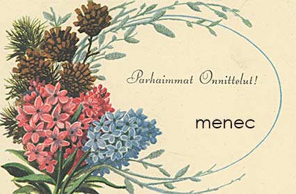 Kojine, Elena - Kukka-käpyasetelma 