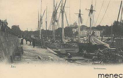Turku, Vedhamnen 