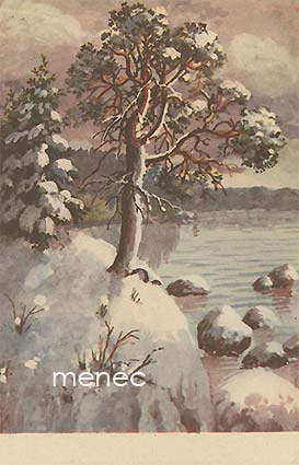 Kojine, Elena - Talvinen ranta 
