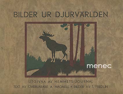 Bilder ur djurvärlden 