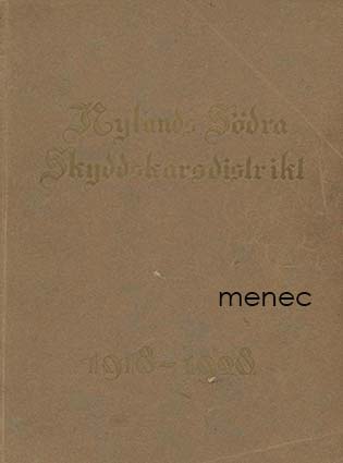 Nylands Södra Skyddskårsdistrikt 1918–1928 