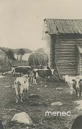Karjapiha 