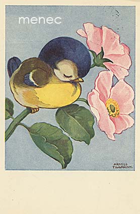 Tilgmann, Arnold - Nukkuva tintti 