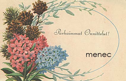 Kojine, Elena - Kukka-käpyasetelma 