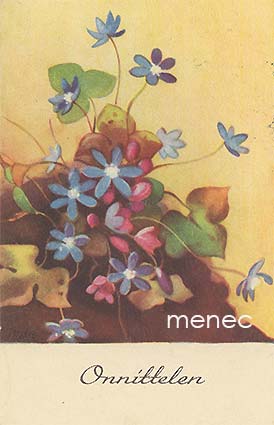 Wendelin, Martta - Sinivuokkoja 