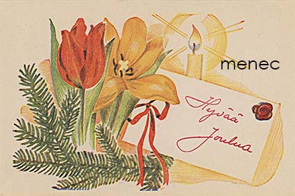 Rodén, Carita - Hyvää joulua; kukkia ja kynttilä 