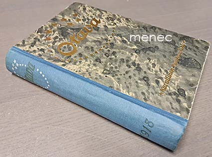 Otava. Kuvallinen kuukauslehti. 1918 