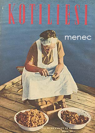 Kotiliesi 