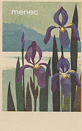 Iriksiä 