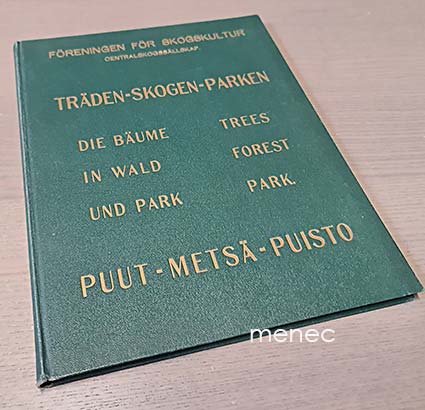 Puut - metsä - puisto 