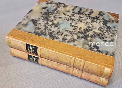 Korhonen, Arvi - Hakkapeliittain historia. I–II 