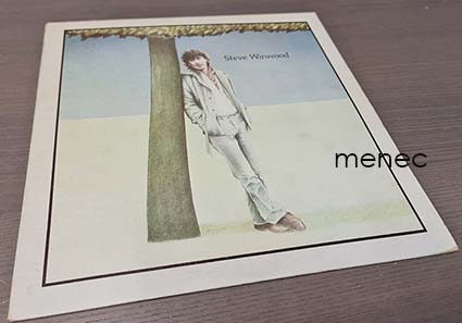 Steve Winwood 