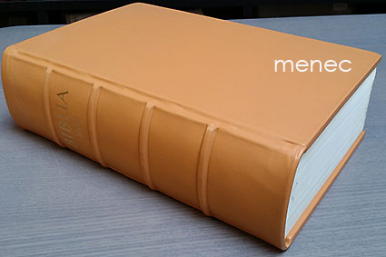 Biblia, se on coco pyhä ramattu : suomexi 