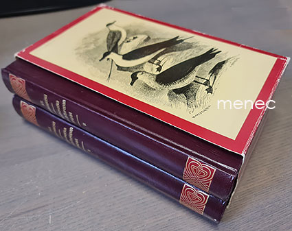 Nordenskiöld, A. E. - Vegan matka Asian ja Euroopan ympäri 