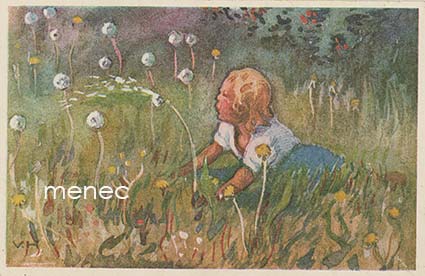 Hämäläinen, Väinö - Kukkakedolla 