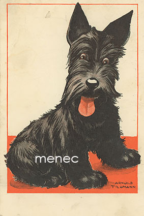 Tilgmann, Arnold - Terrieri 