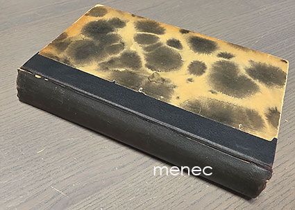 Kerjäläis-kreivitär 