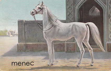 Eerelman, O. - Persian Horse 